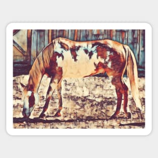 American Paint Horse Sticker